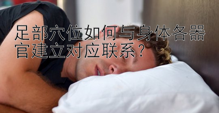 足部穴位如何与身体各器官建立对应联系？