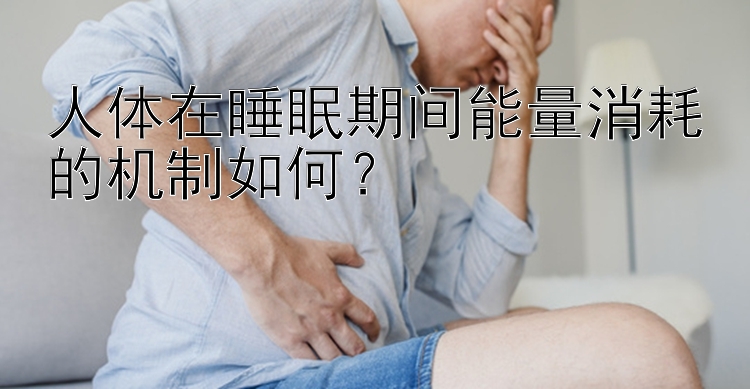 人体在睡眠期间能量消耗的机制如何？