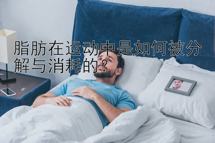 脂肪在运动中是如何被分解与消耗的？