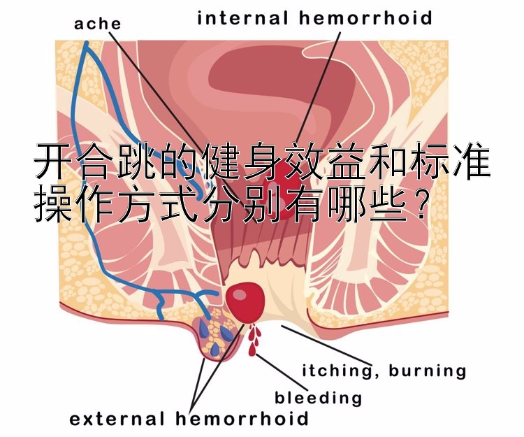 开合跳的健身效益和标准操作方式分别有哪些？