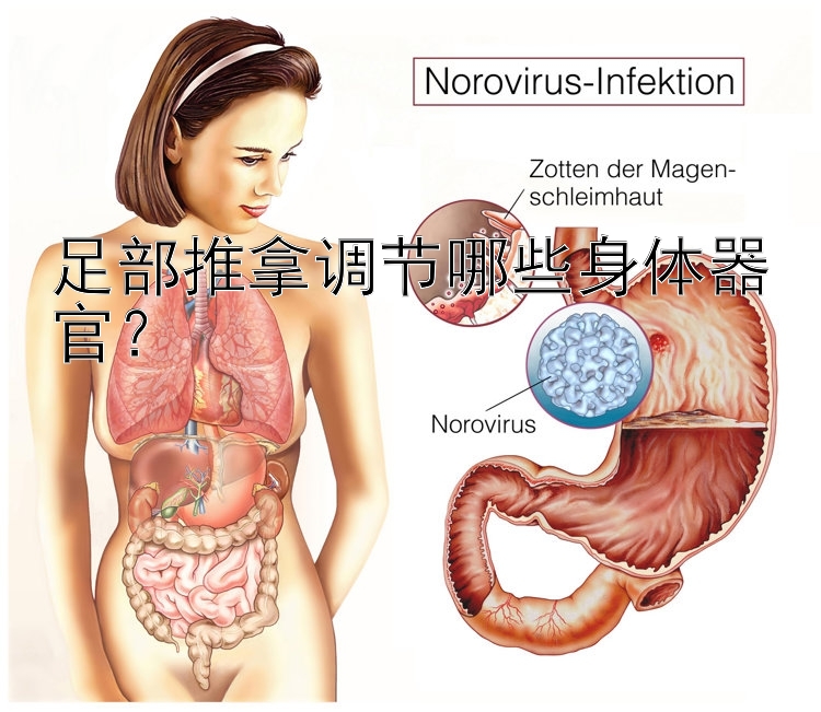 足部推拿调节哪些身体器官？