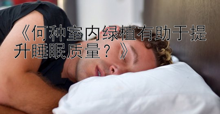 《何种室内绿植有助于提升睡眠质量？》