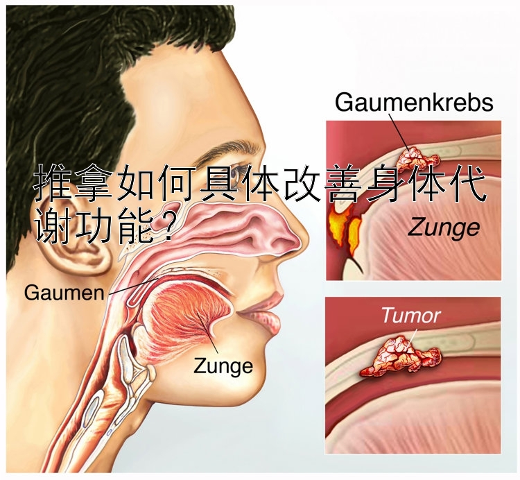 推拿如何具体改善身体代谢功能？