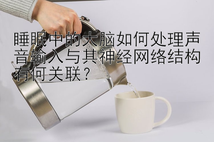 睡眠中的大脑如何处理声音输入与其神经网络结构有何关联？