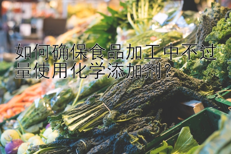 如何确保食品加工中不过量使用化学添加剂？