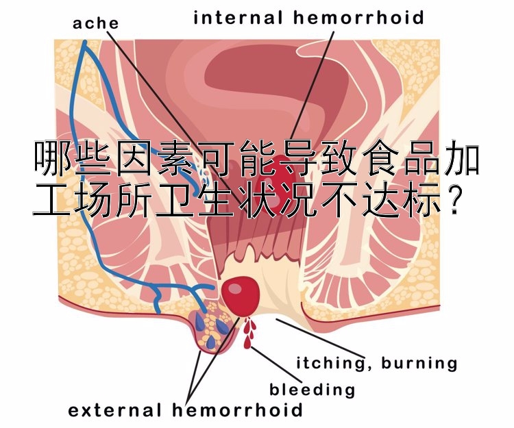 哪些因素可能导致食品加工场所卫生状况不达标？