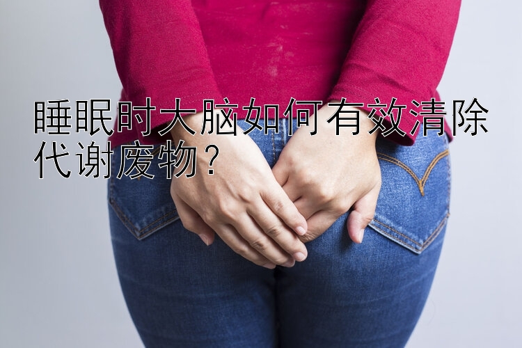 睡眠时大脑如何有效清除代谢废物？