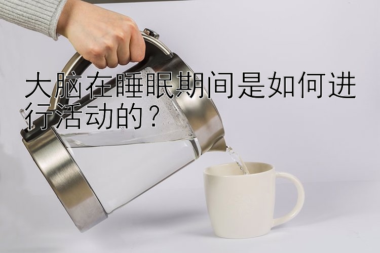 大脑在睡眠期间是如何进行活动的？