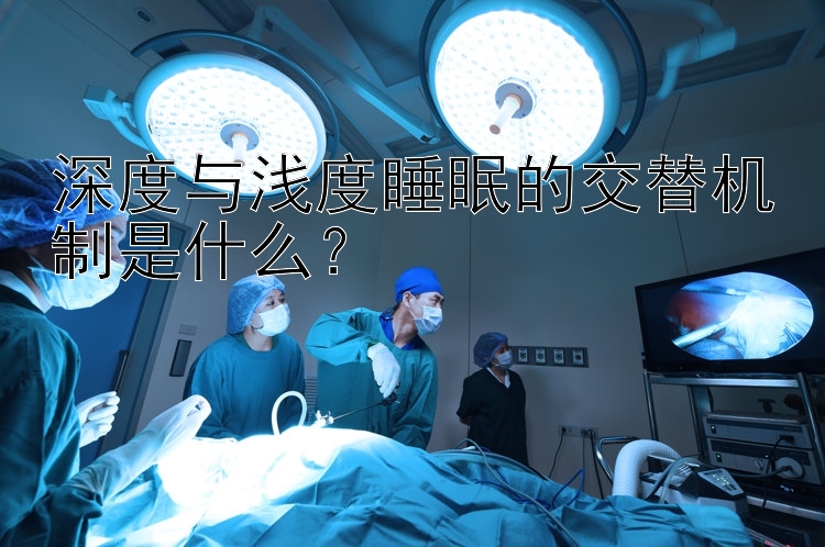 深度与浅度睡眠的交替机制是什么？