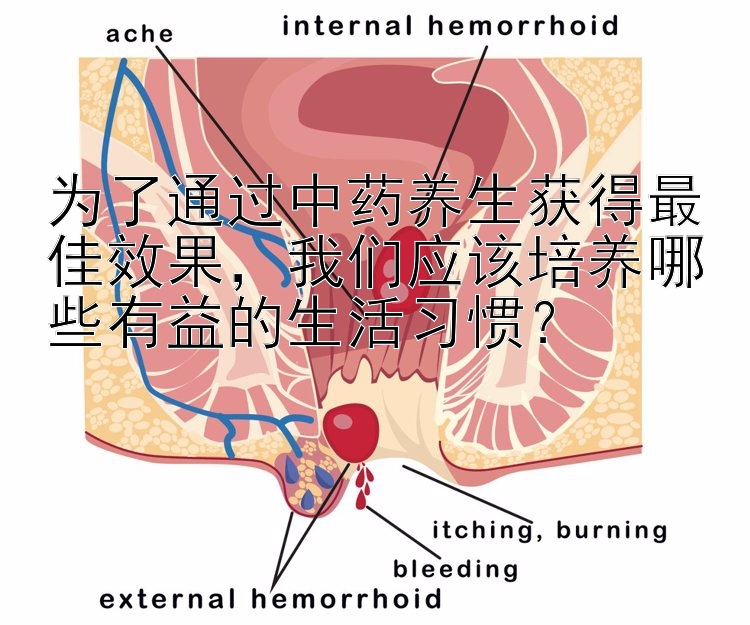 为了通过中药养生获得最佳效果，我们应该培养哪些有益的生活习惯？