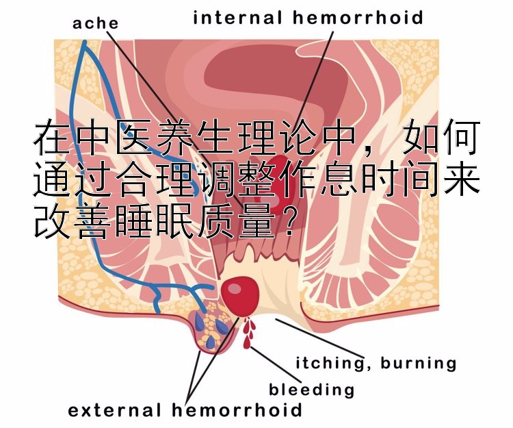 在中医养生理论中，如何通过合理调整作息时间来改善睡眠质量？