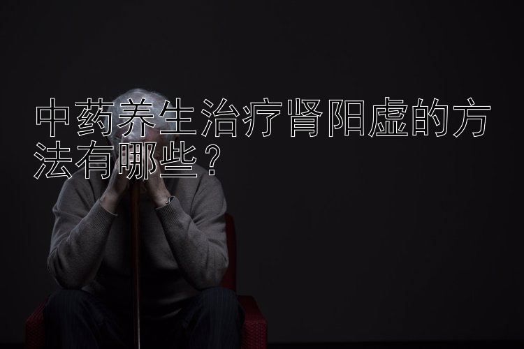 中药养生治疗肾阳虚的方法有哪些？