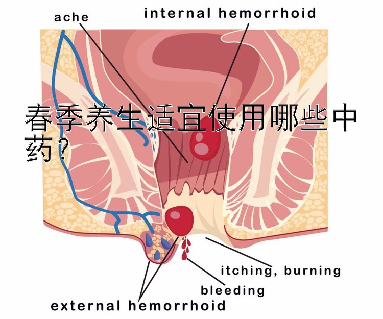 春季养生适宜使用哪些中药？