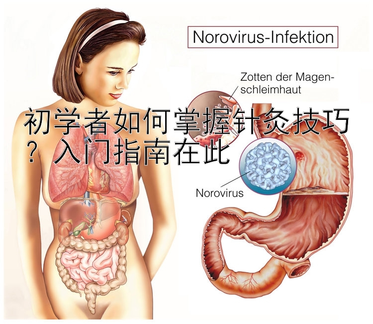 初学者如何掌握针灸技巧？入门指南在此